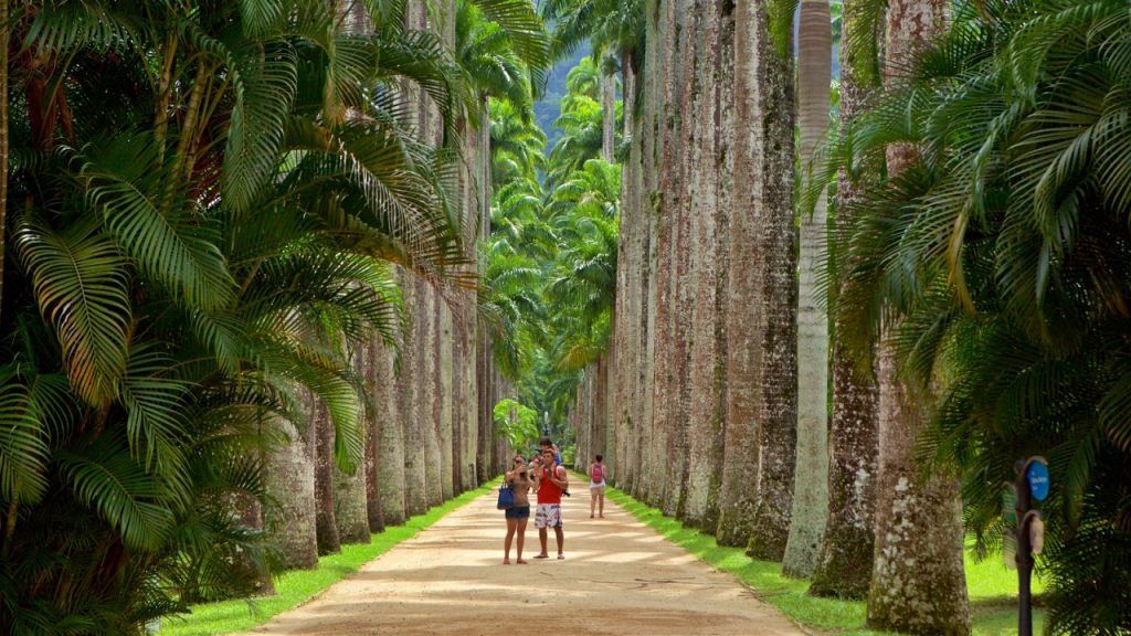 dia das crianças em São Paulo: casal com uma criança nos ombros passeando pelo Jardim Botânico de São Paulo 